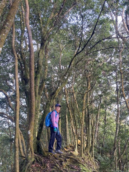 坐公車接駁的神仙縱走2707397