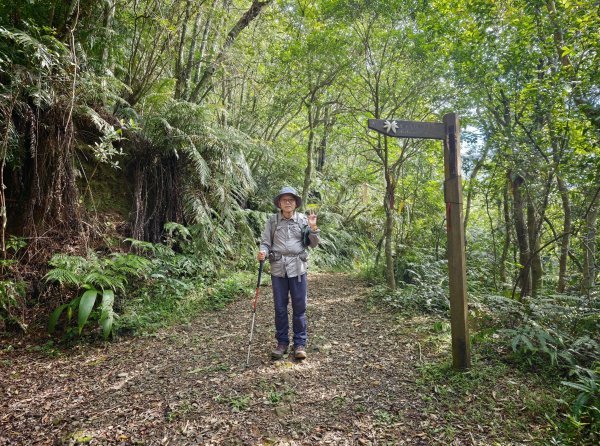 [淡蘭古道] 2026_0524 南路第四段_四堵古道(上)-山林崙3069872