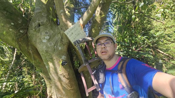 20251003高麗坑山-新高麗坑山-高麗坑山西北峰2903129