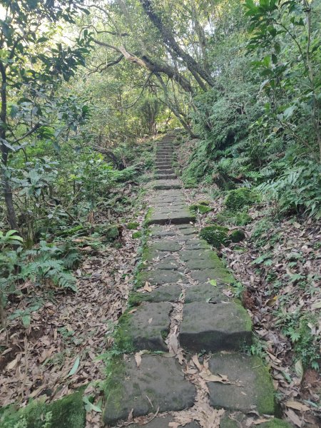 臺北大縱走第三段：小油坑至風櫃口2817684