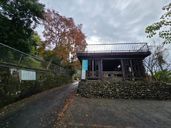 馬那邦山之雲海／雲瀑／楓紅／太陽琉璃光2676336