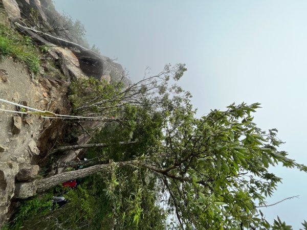 20230604_東卯山（谷關七雄之老五）2762508