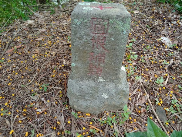 20210627台中太平小中坑山、大湖桶山、龜舌子山1532431