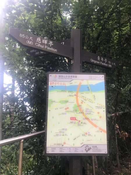 20190608新店獅頭山步道612413