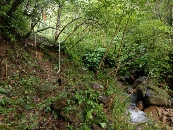 雙溪區后番子坑古道+后番子坑山+平湖東步道+大坑山+下內平林山+上內平林步道出平水2972937