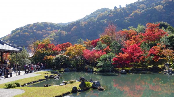 日本京都嵐山651950