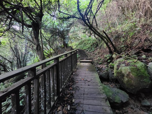 20240707馬胎古道2780977