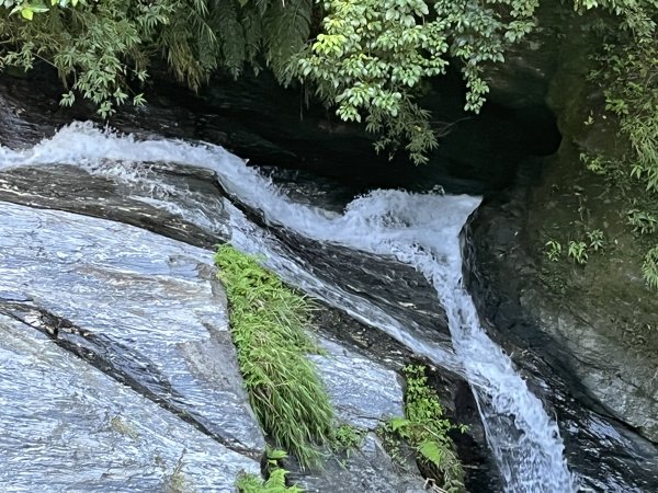 [玉山尋寶任務-03/12] 2025_0810 瓦拉米步道2857424