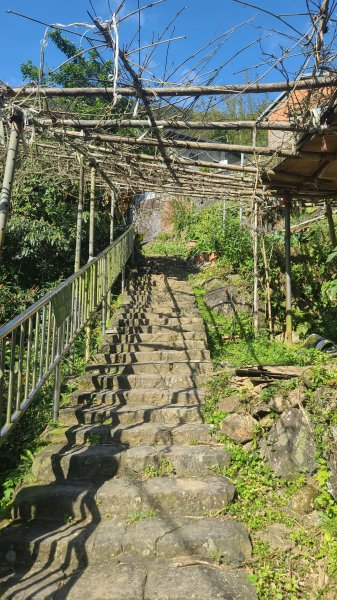 2025-0130溪和宮-大崎頭步道-鵝尾山-平溪步道-鵝尾山水田-42巷-溪山百年古圳-平菁步道2701865