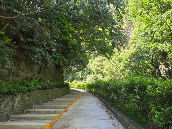 埔里觀音瀑布、天旨宮鰲頭山步道3093784