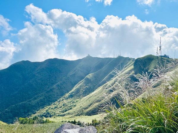 小觀音西峰 二子坪步道 小油坑山3129481