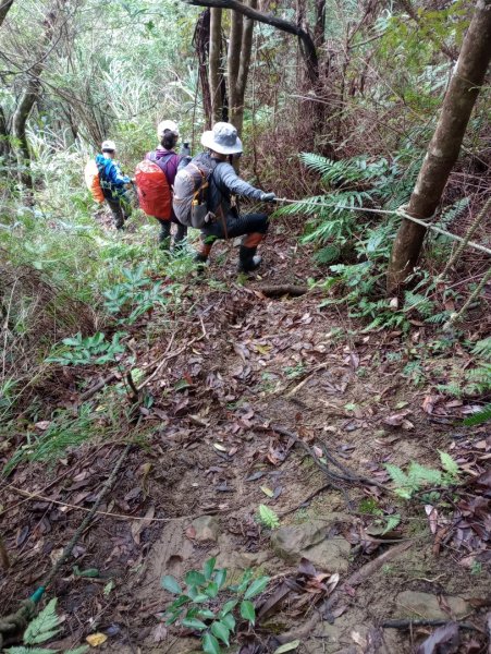 雷公埤山-鱷魚島觀景-小格頭獅頭山2001517