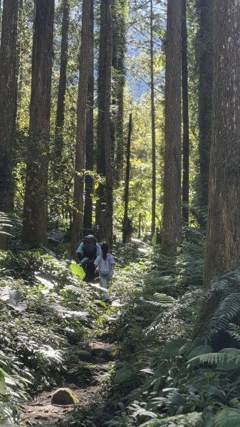 20250927小百岳鳳凰山