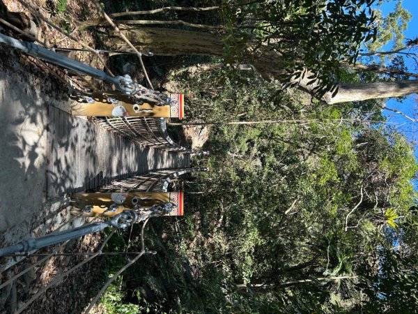 雪山坑登山步道2984438