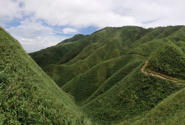 絕美抹茶山“聖母登山步道” 628991