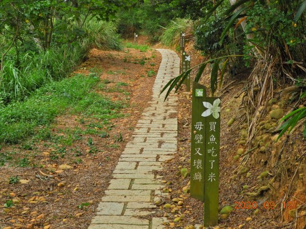 苗栗 通霄 高埔山1096928