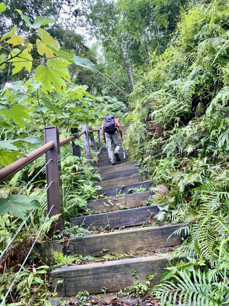 登頂福興山、福興山東峰    2024.8.112570644