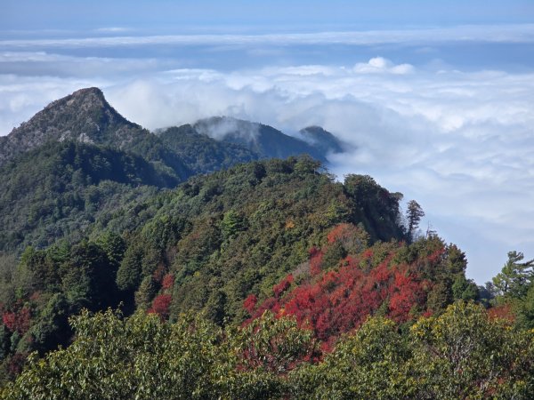 鳶嘴稍來山之楓紅／雲海2974055