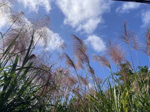 月扇湖大岩壁2952421