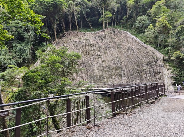 2025_0713 拉拉山神木群步道2837286