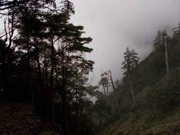 治茆山,治茆山南峰,巒山堂691190