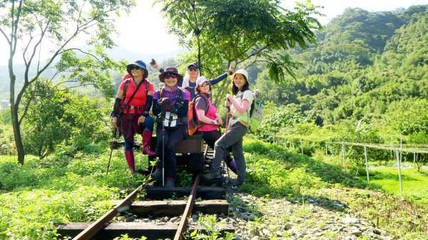 【淡蘭中路】翻山越嶺的茶商之道981237