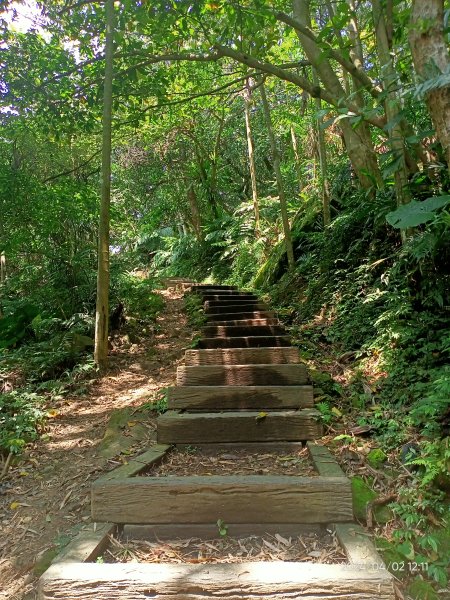 【臺北大縱走 7】樟山寺→國立政治大學 & 獲得第一回合「全程完成證書」2471684