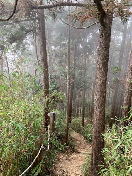 109-02-29谷關七雄老大-八仙山861917