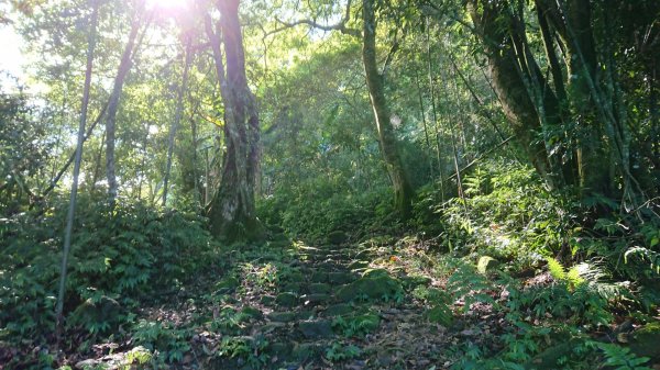 馬拉邦山上湖登山口O型走1069025