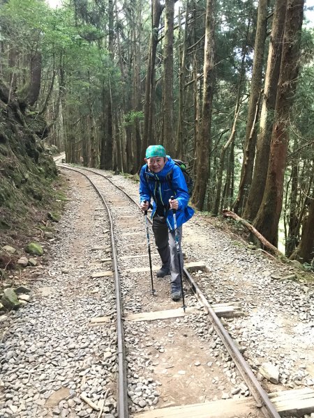 訪特富野古道順登梯子板山978969