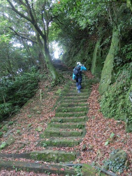 燦光寮古徑（九份至牡丹段）602058