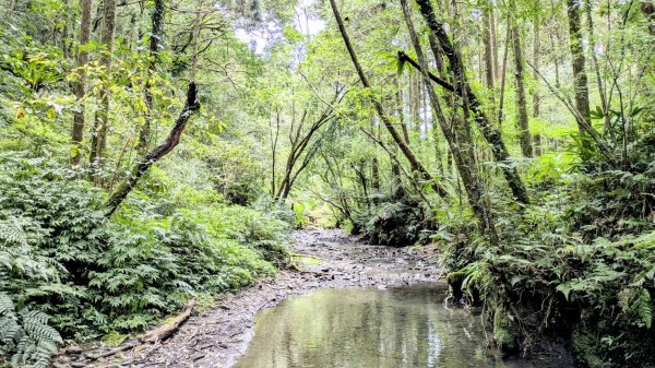 坪溪古道,石空古道2873479