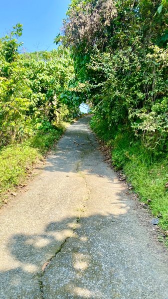 龍麟山登山步道2730744