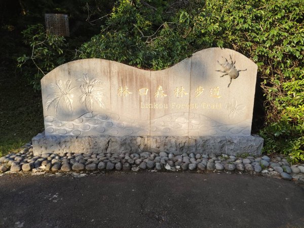 林口頂福巖森林步道2838107