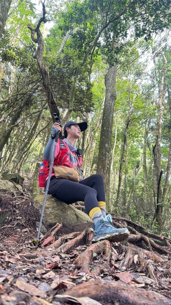 橫沙笛O繞2824585