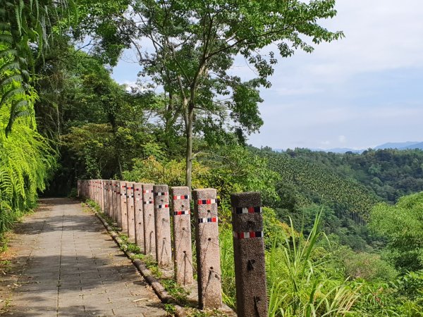 虎頭山登山步道1034250