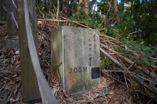 聚興山 新田登山步道2670671