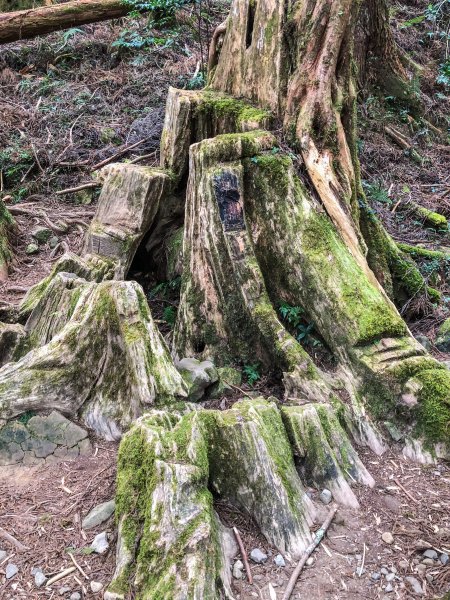 南投~特富野古道883934