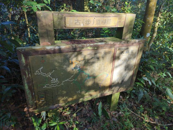 2025.11.15－鳴鳳古道2943001