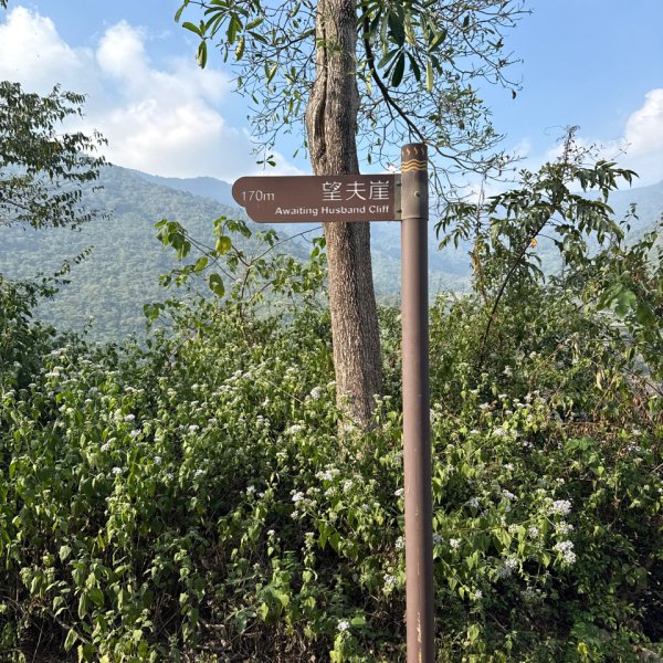 20251213 高雄－臺灣百大必訪步道龍頭山步道2969116