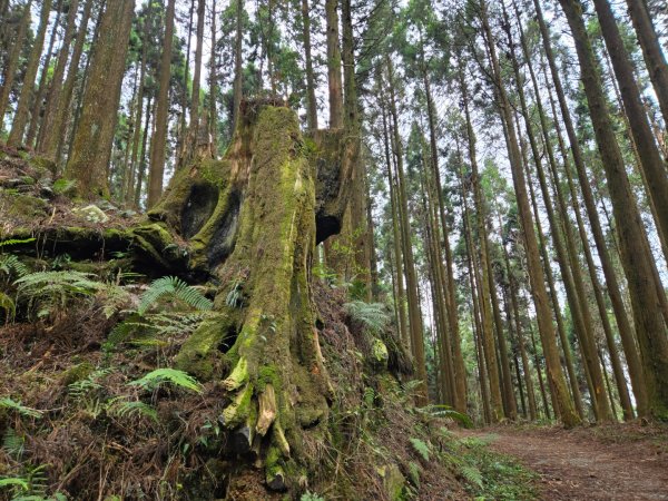 石山引水道2758968