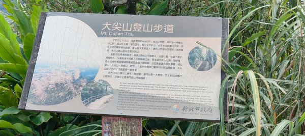 汐止大尖山3108540