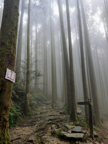 橫嶺山/沙蓮山/鎮山海獅1221379