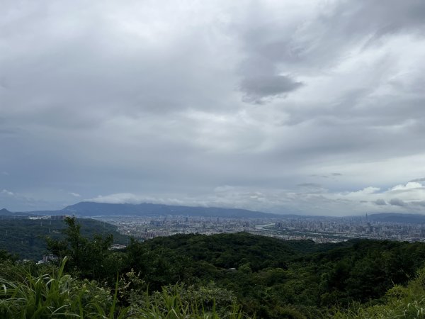 [微笑山線_第一段] 2025_0720 大棟山系_大棟山2843597