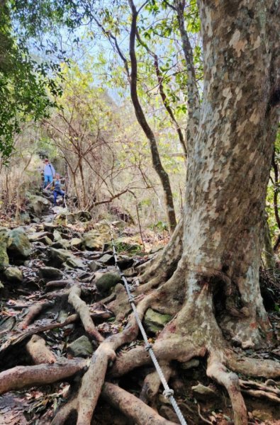 【中級山】天梯直上雲霄，一切美景盡在眼底，谷關七雄白毛山2742442