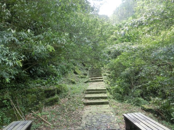 平湖森林步道．內平林山109397