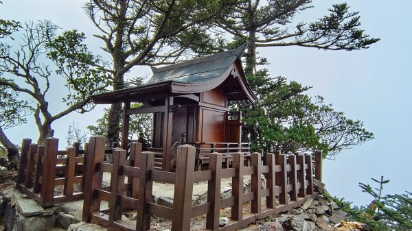 玉山北/西峰（排雲雲海/夕陽/下雨）1496104