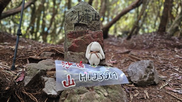 【細說大雪山木馬古道】橫嶺山、沙蓮山、笛吹山O繞