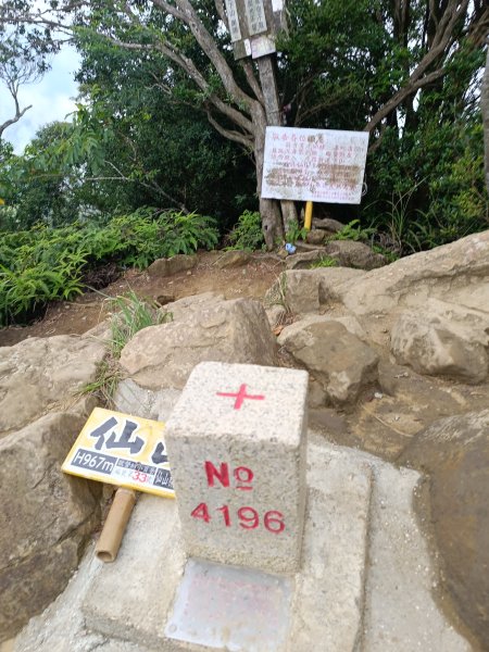 苗栗仙山2983695