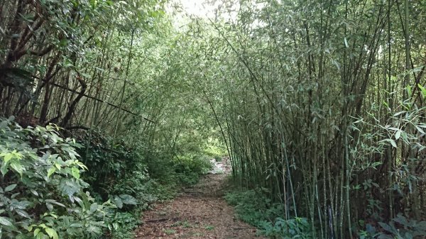 馬拉邦山上湖登山口O型走1069009